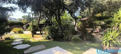 Chalet in Alpedrete photo 4