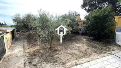 Rustic Finca on Carrer de Santa Anna photo 49