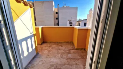 Pis – Torrevieja, el Baix Segura / La Vega Baja - Més