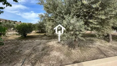 Rustic Finca on Carrer de Santa Anna photo 53