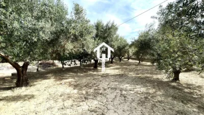 Rustic Finca on Carrer de Santa Anna photo 52