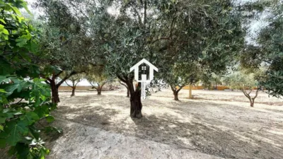 Rustic Finca on Carrer de Santa Anna photo 50