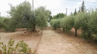 Finca rústica en Partida Cachap photo 38