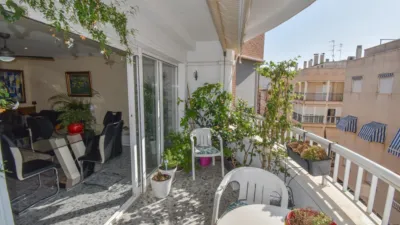Pis – Santa Pola, el Baix Vinalopó - Vista 4