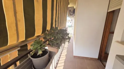 Apartment in La Carlota photo 8