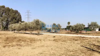 Chalet in Huelva photo 24