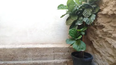 House in Comunidad Valenciana photo 12