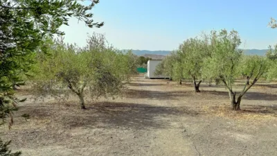 Rustic finca in 04200 photo 21