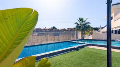 Pis – Algorfa, Urbanización Lo Crispín - Vista 4