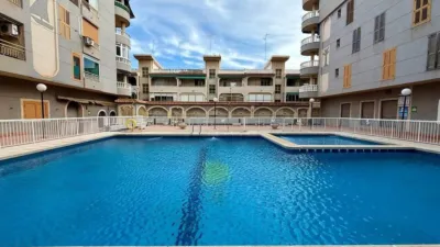 Apartment in Acequion photo 3
