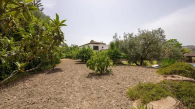 Chalet in El Cigarral - Dehesa - Borrajo photo 46