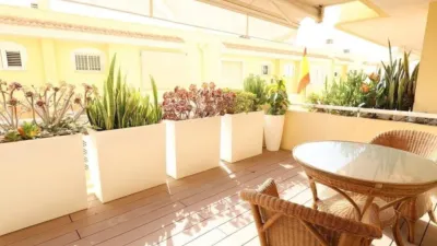 Apartment in La Florida photo 20