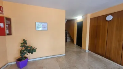 Apartment in Barri de Can Berenguer photo 24