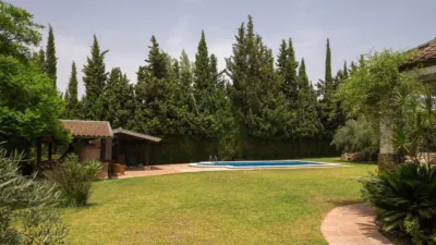 Chalet in El Cigarral - Dehesa - Borrajo photo 45