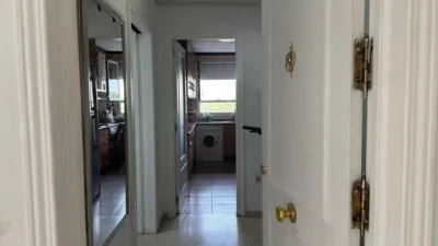 Apartment in Pino Montano photo 4