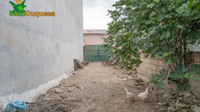 Terraced House in Centro photo 44
