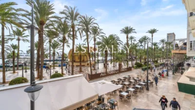 Pis – Alicante - Alacant - Vista 4