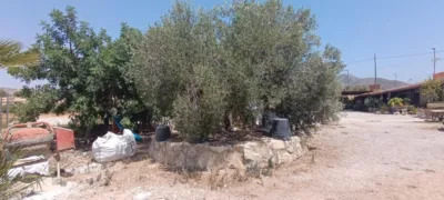 Finca rústica en Algeña Alicante photo 30