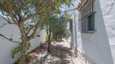 Rustic Finca in Zahora photo 52