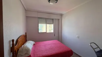 Apartment in Racó photo 9