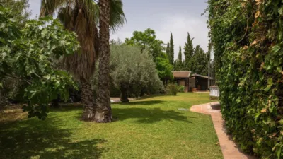 Chalet in El Cigarral - Dehesa - Borrajo photo 51