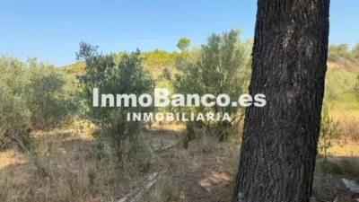 Rustic finca on Calle Poligono 7 Parcela, No. 275 photo 11