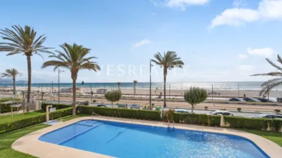 Pis – el Campello, Platja de Mutxavista - Vista 5