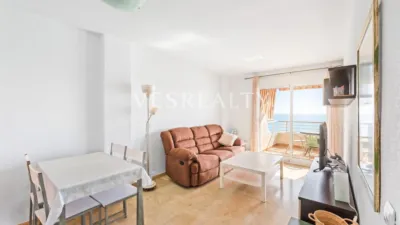 Pis – Alicante - Alacant - Vista 5