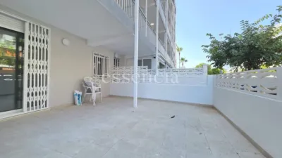 Apartment in Playa de Gandia photo 4
