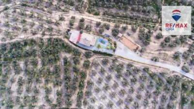 Rustic farm on Calle Diseminado Pol 6 Parcela 320 La Asomadilla photo 35