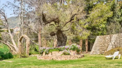 Finca rústica en calle Diseminados photo 41