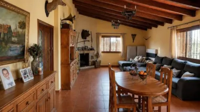 Rustic Finca in Son Ferriol photo 3