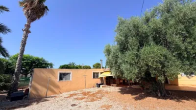 Casa – Elx - Elche - Vista 4