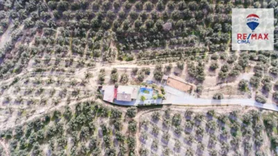 Rustic farm on Calle Diseminado Pol 6 Parcela 320 La Asomadilla photo 34