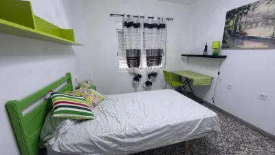 Apartment in Ant Parada Tram y Universidad Alicante photo 3