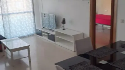 Apartment in Ejido Sur photo 9