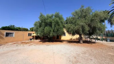 Casa – Elx - Elche - Vista 5