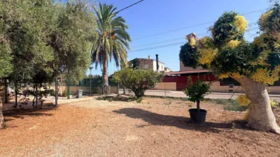 Casa – Elx - Elche - Vista 3