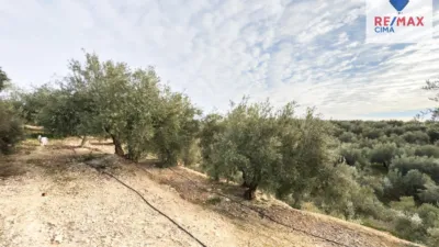 Rustic farm on Calle Diseminado Pol 6 Parcela 320 La Asomadilla photo 27
