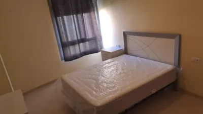 Apartment in Ejido Sur photo 14