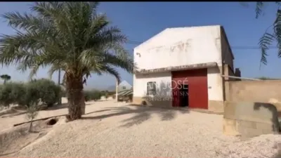 Rustic finca in Barranco San Cayetano photo 22