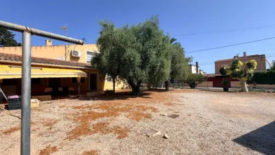 Casa – Elx - Elche - Más