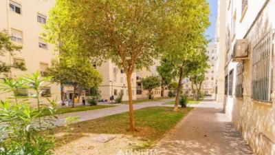 Piso en Algiros photo 16