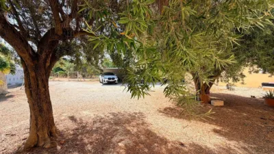 Casa – Elx - Elche - Vista 2
