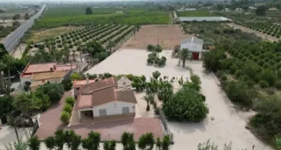 Rustic finca in Barranco San Cayetano photo 26