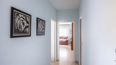 Apartment in Las Angustias photo 6