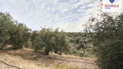 Rustic farm on Calle Diseminado Pol 6 Parcela 320 La Asomadilla photo 26