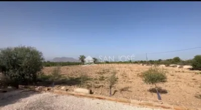 Rustic finca in Barranco San Cayetano photo 21