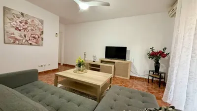 Apartment on Calle de Patricio Zammit photo 11