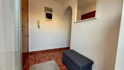 Apartment on Calle de Patricio Zammit photo 46